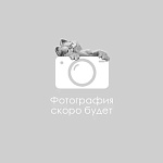 GoSi Удочка-дразнилка Божья коровка Лида